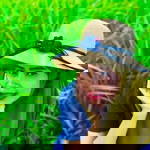 Arisra Basapion profile icon