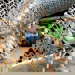 Dwi Ahsanty profile icon