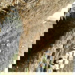 Riri Purnama profile icon