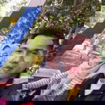 Rohiema Hasan profile icon