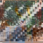 Natthika Aumdonkroy profile icon