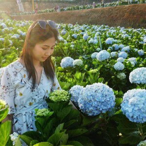 Chayaporn Darayen profile icon