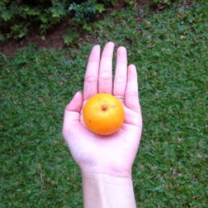 Nindya Farah profile icon