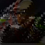 Nuriqlimah Rosiana Nisa profile icon