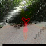 กชมล พรหมรักษา profile icon