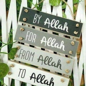 Dewi Rosmely AmoOrea profile icon