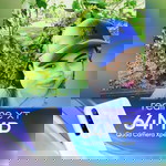 Mherie Rose Mercado Pariñas profile icon