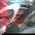 ech Ecah profile icon