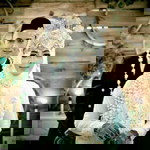 Mukti Sofie profile icon