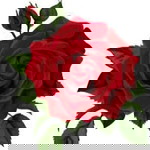 Rosemarie Limot profile icon