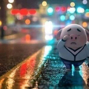 Nantiya Seangviphark profile icon