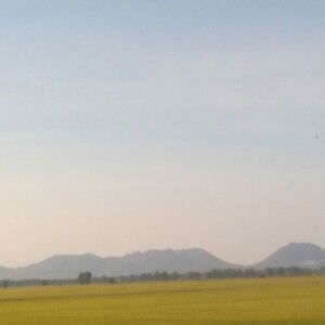 Thạch Minh Nhí profile icon