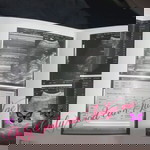 Sheng Alonzo profile icon