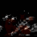 Kim Tata profile icon