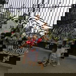 Roxanne Gonzales profile icon