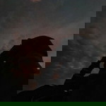 fajarotin nikmah profile icon