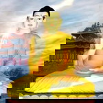 Minh Thư profile icon