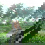 Anggel Lika profile icon