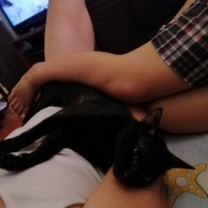 Nash Joe profile icon