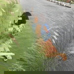 Nat Chaya profile icon