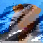 Yumi Sermonia profile icon