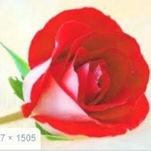 Ghiemhar Ozordep profile icon