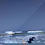 Devi Tri Utami profile icon