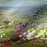 OhSussy profile icon