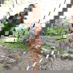 Jizelle Mae Jarin profile icon