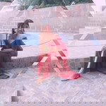 Marilyn Brosoto profile icon