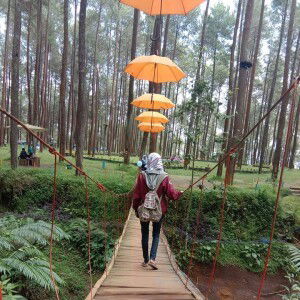 Roaenah profile icon