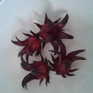 Tih Aniey profile icon