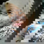 Ira Dwi profile icon