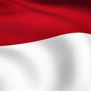 Burhan Ali profile icon