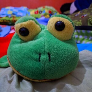 Ayyu Ridlo profile icon