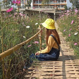 Thidarat Yain profile icon