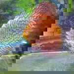 mwllda syafira profile icon