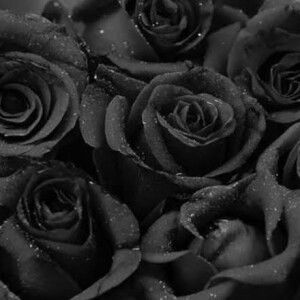 Nenx Wulan profile icon