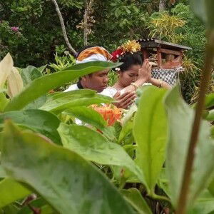 TiLing Siswandari profile icon