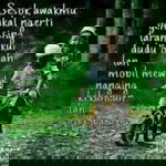 Danish Faeyza profile icon