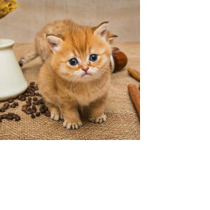 อิ่ม ท้อง profile icon