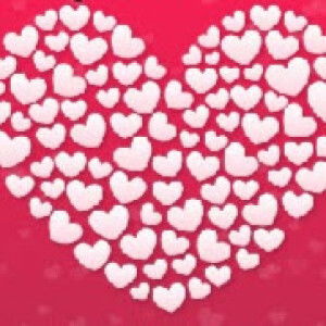 Dian Chandra profile icon