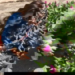 Kachaporn Niyomphong profile icon