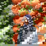 Atul Chasanah profile icon