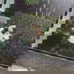 Pang Parita profile icon