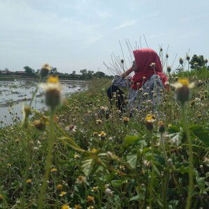 Dian Mustikawati profile icon