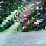 Triệu Thơm profile icon