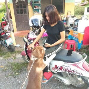 ทราย เด๋อ&#x27;อออ profile icon