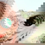 hawa akira profile icon