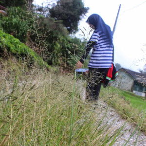 NOOR UMIDZAHTUL profile icon